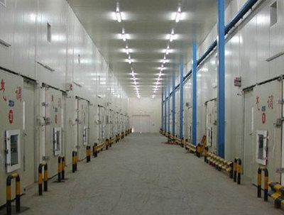 優(yōu)化倉儲(chǔ)效率的核心 全面了解現(xiàn)代倉儲(chǔ)設(shè)備